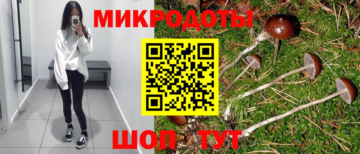 Сертолово  Галлюциногенные грибы Cubensis  Вход с VPN 