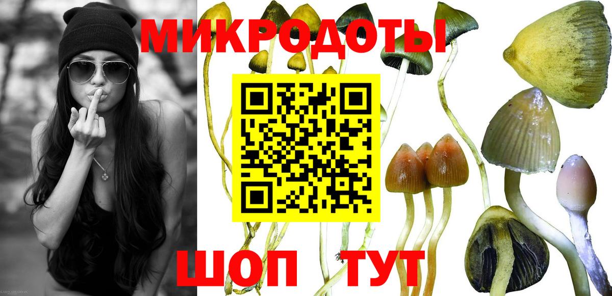 Псилоцибиновые грибы мухоморы Сертолово